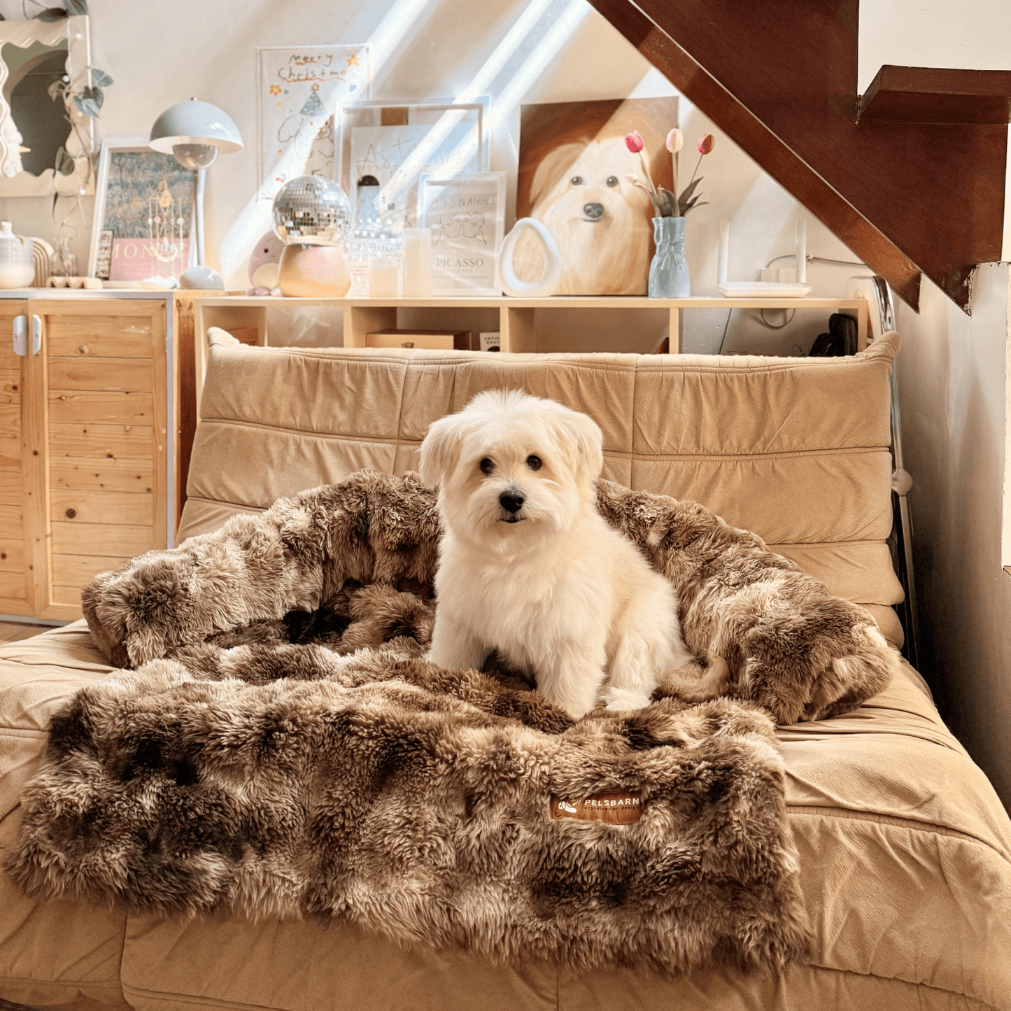 Pelsbarn Luxurious Sofa Bed ( 1+1 ) Golden Age
